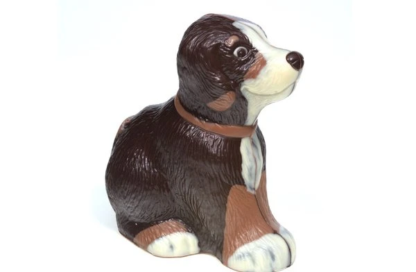 Schokoladenhund Bello